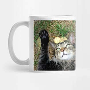 Happy Cat Mug